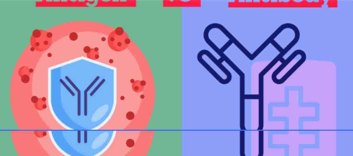 Antigen Vs Antibody Diffrence