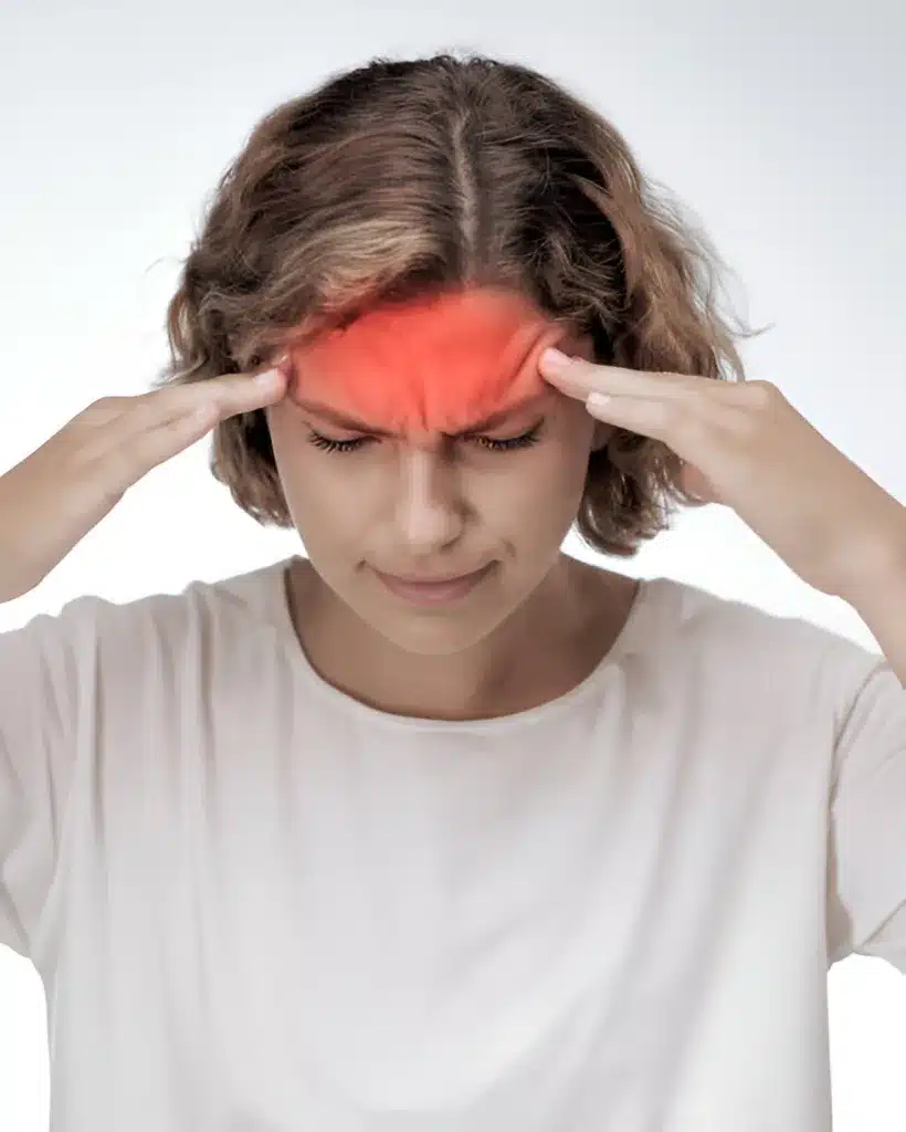 steptodown.com185304