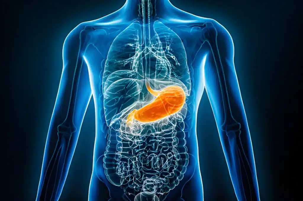 steptodown.com138172